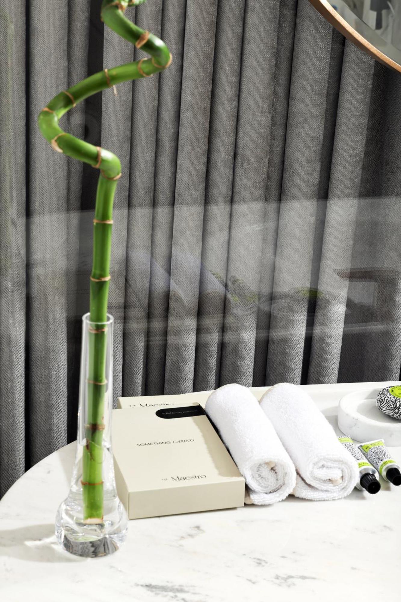 The Maestro Hotel イスタンブール エクステリア 写真